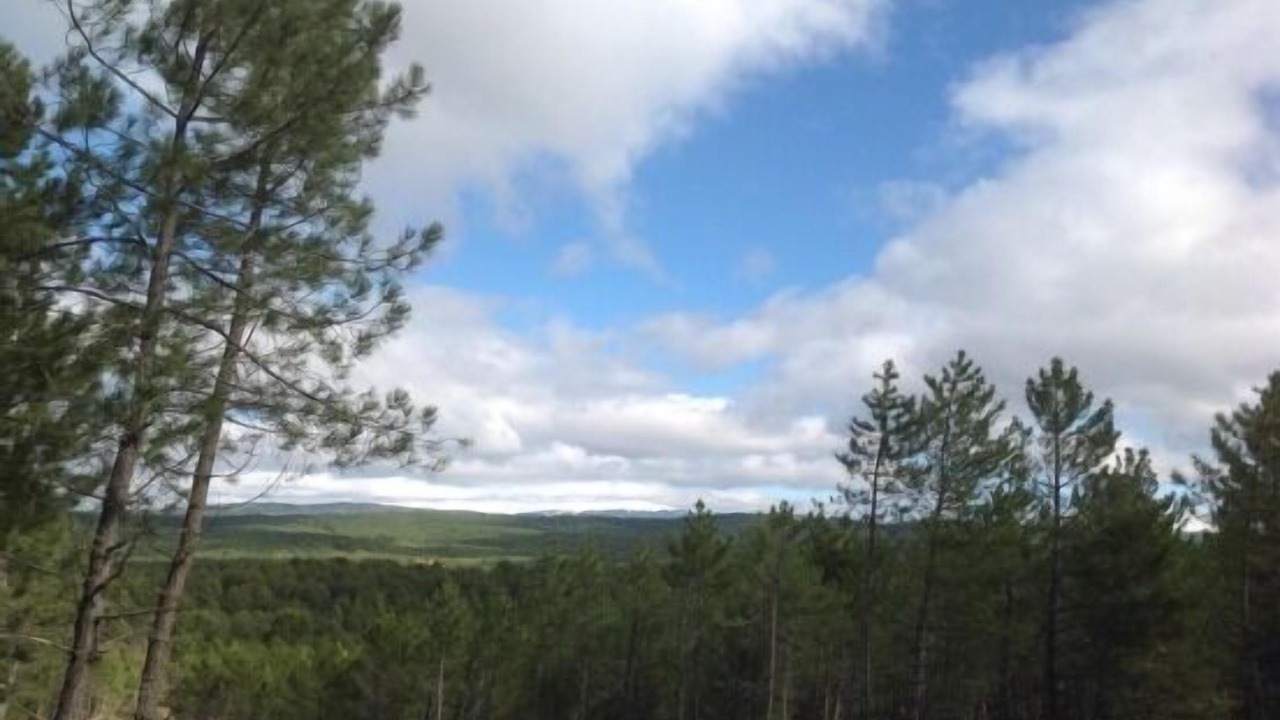 Photo of Others in Rabanera del Pinar