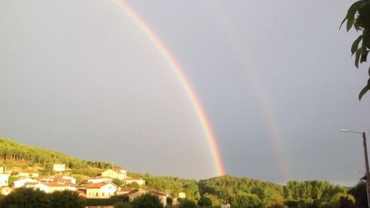 Photo of Others in Rabanera del Pinar