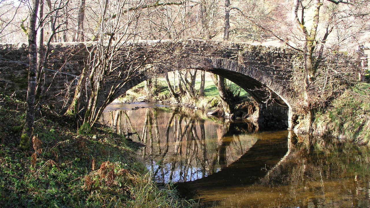 Photo of Outdoor in Saint-Pal-de-Senouire