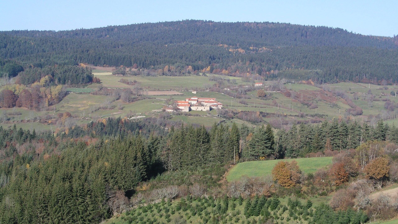 Photo of Outdoor in Saint-Pal-de-Senouire