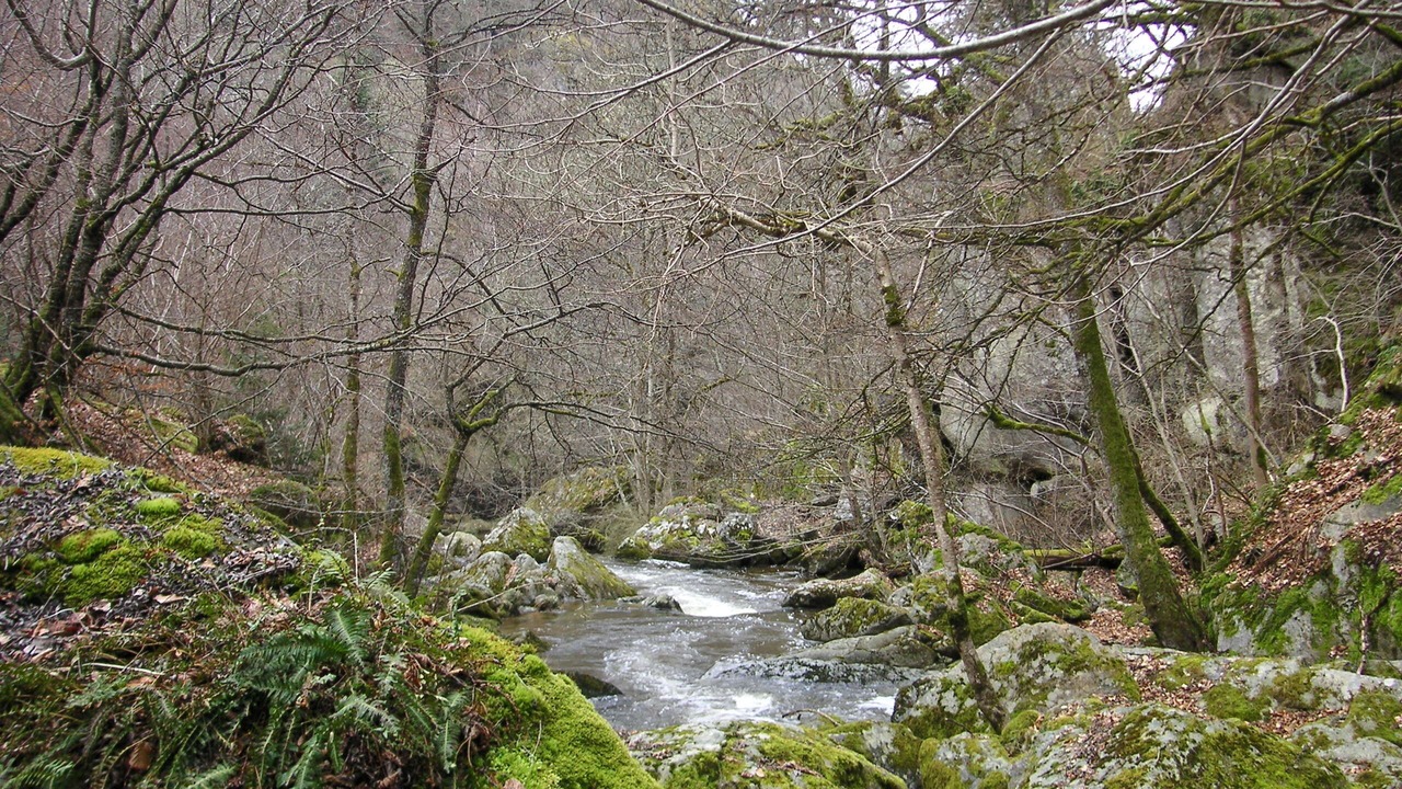 Photo of Outdoor in Saint-Pal-de-Senouire