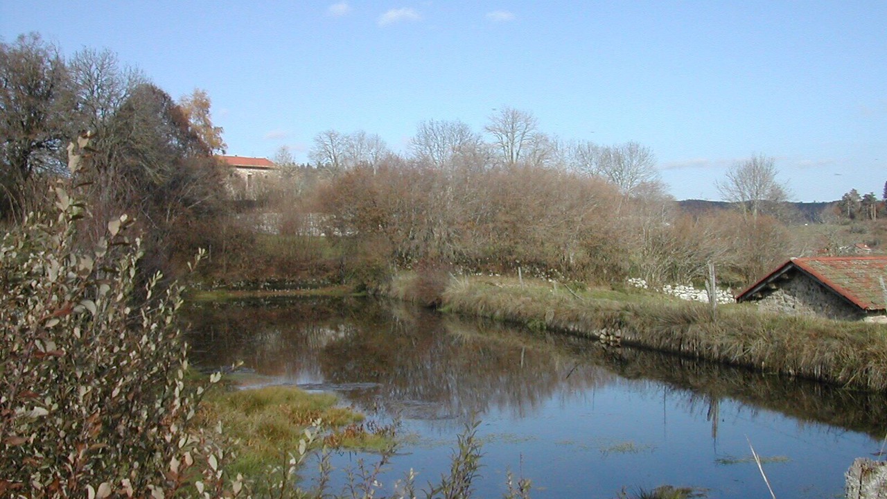 Photo of Outdoor in Saint-Pal-de-Senouire