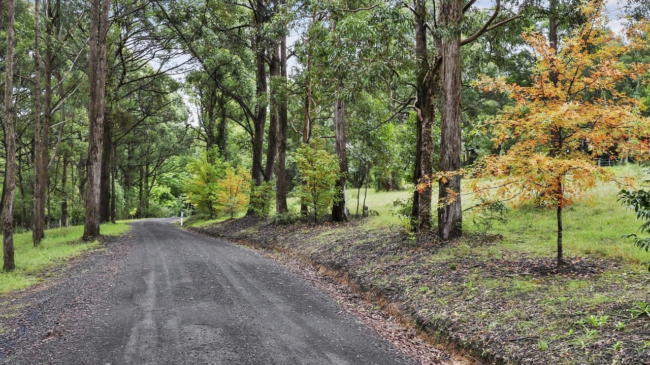 Photo of Outdoor in Bilpin