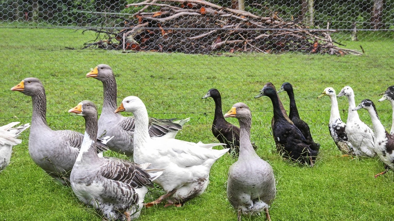 Photo of Outdoor in Bilpin