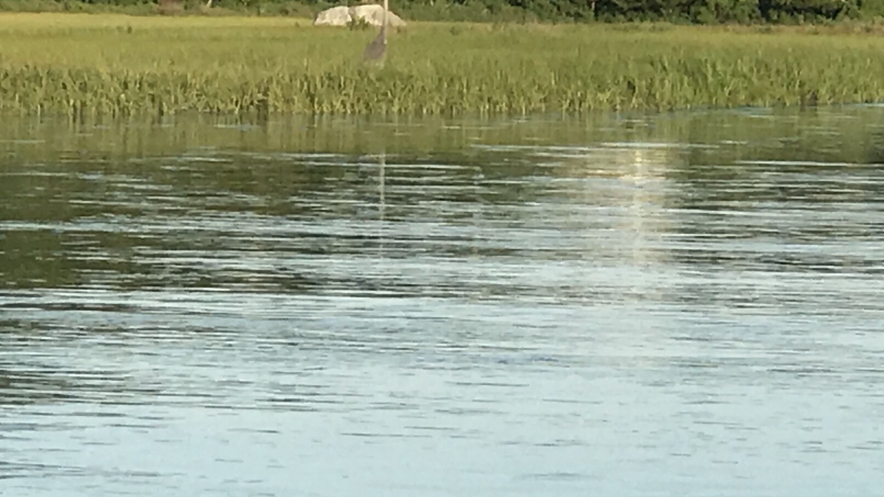 Photo of Others in South Dartmouth