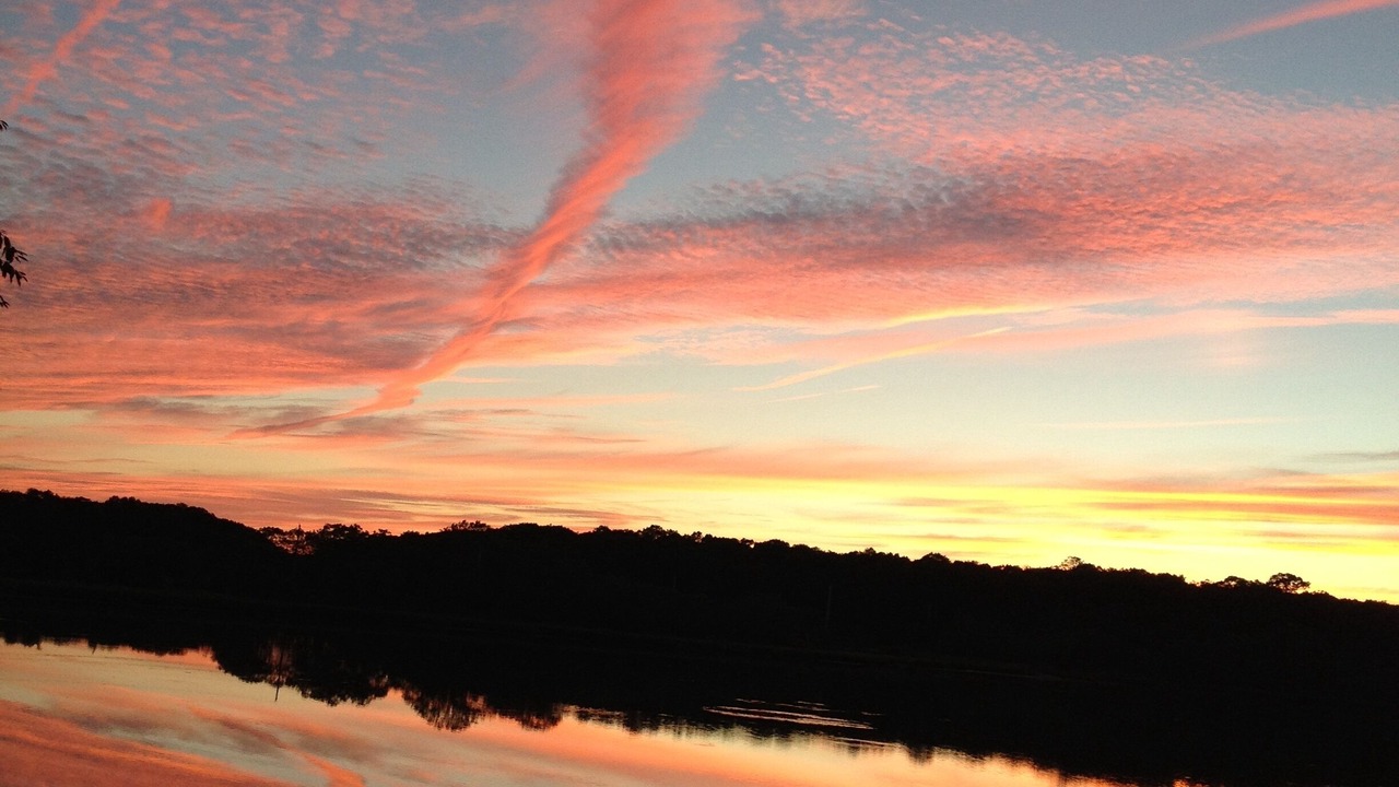 Photo of Others in South Dartmouth