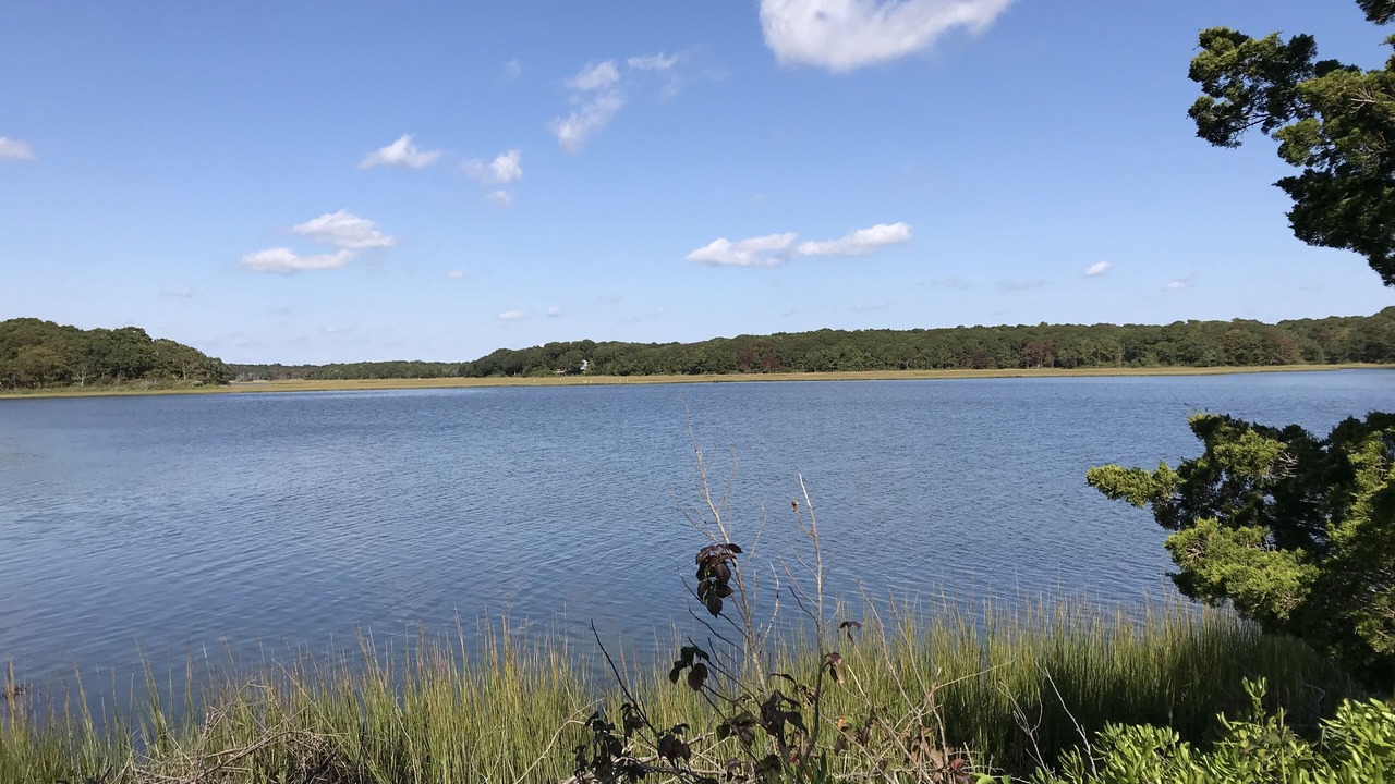 Photo of Outdoor in South Dartmouth