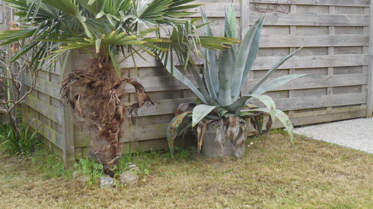 Photo of Outdoor in La Plaine-sur-Mer