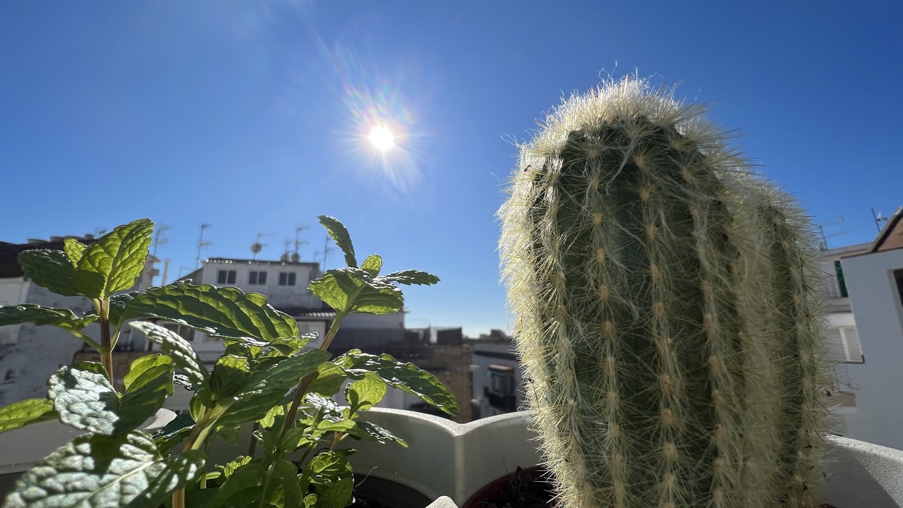 Photo of Outdoor in Sitges