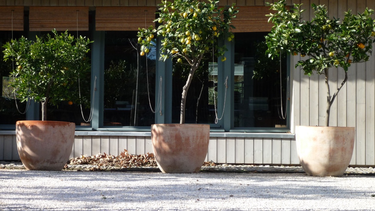 Photo of Outdoor in Roquefort-des-Corbieres
