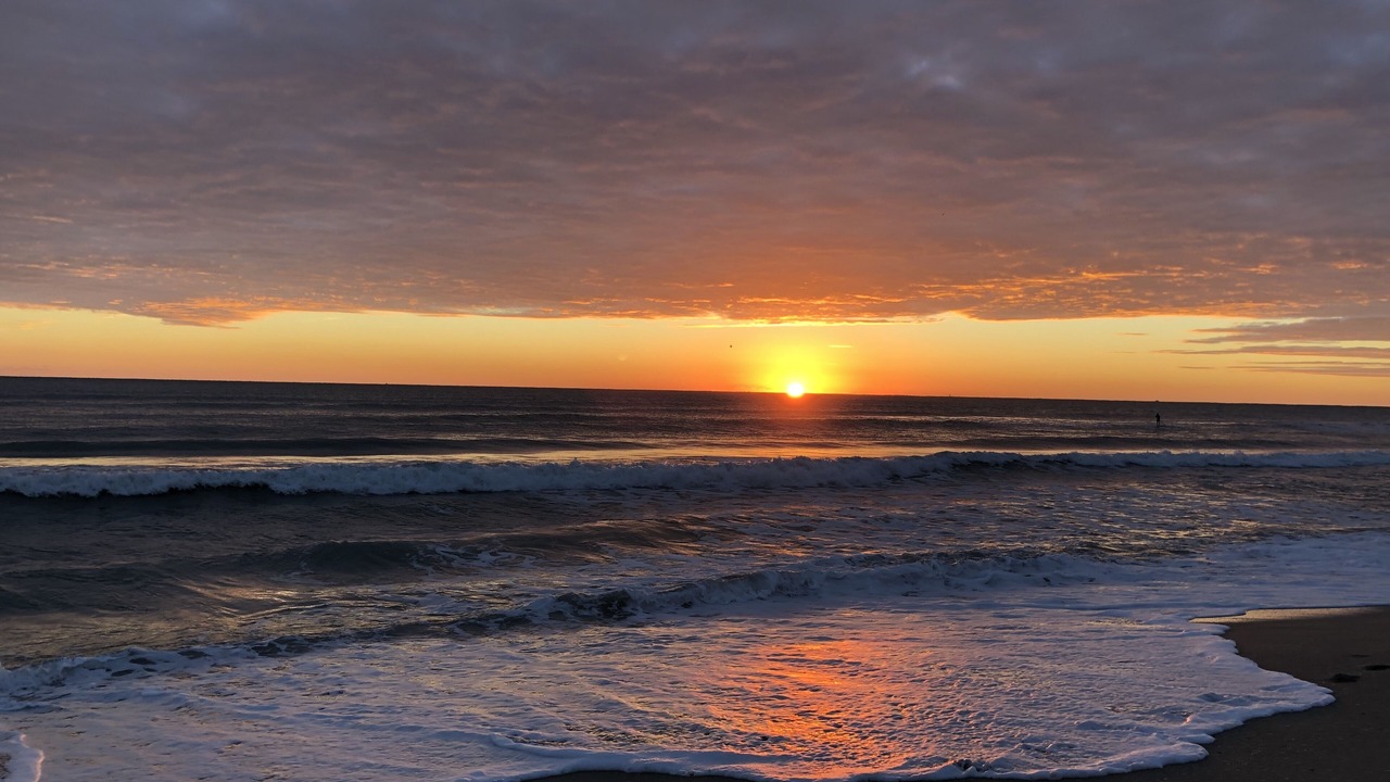 Photo of Others in Bella Vista