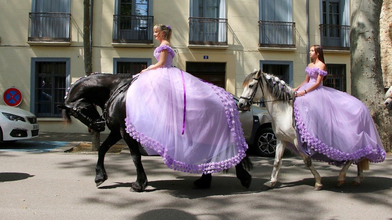 Photo of Outdoor in Ceret