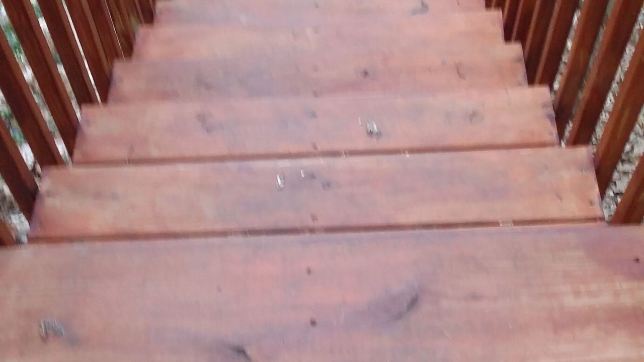 Photo of Others in Northwest Ithaca