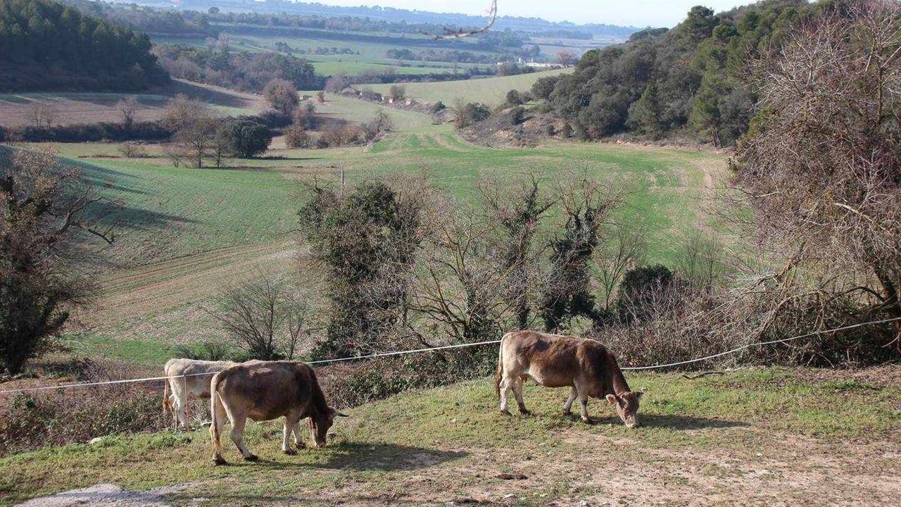 Photo of Outdoor in Pujalt