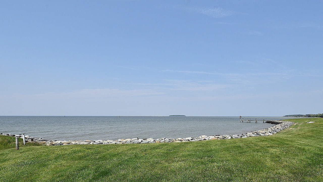 Photo of Others in Tilghman