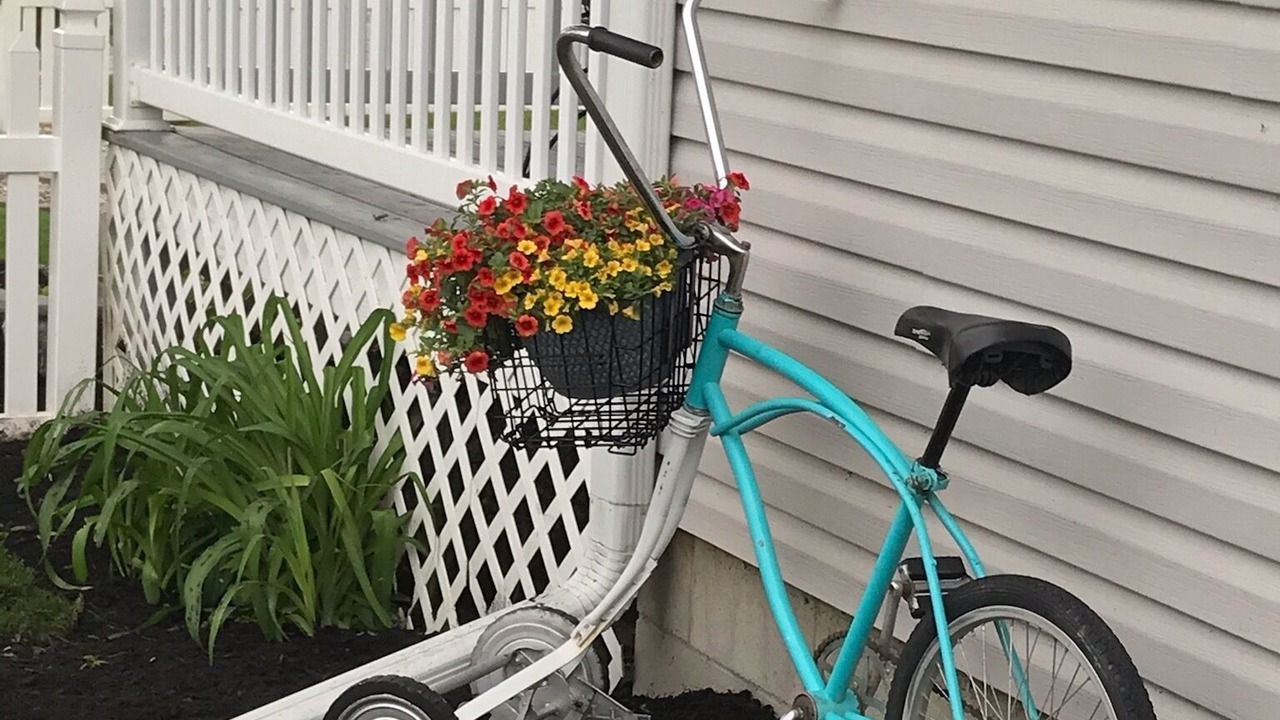 Photo of Outdoor in Celina