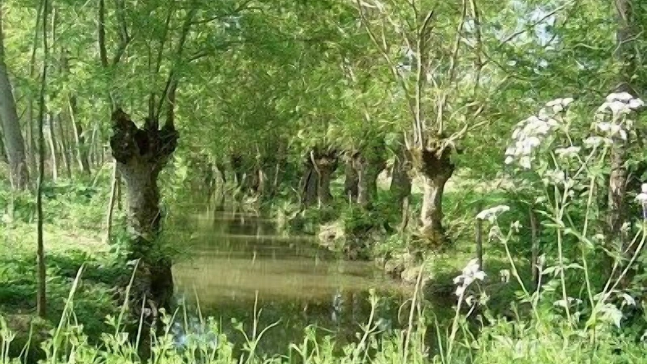 Photo of Outdoor in Maillezais