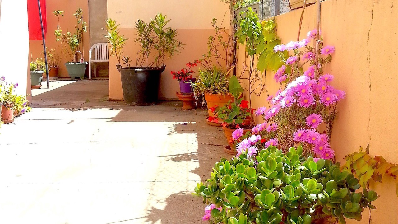 Photo of Outdoor in Les Platanes