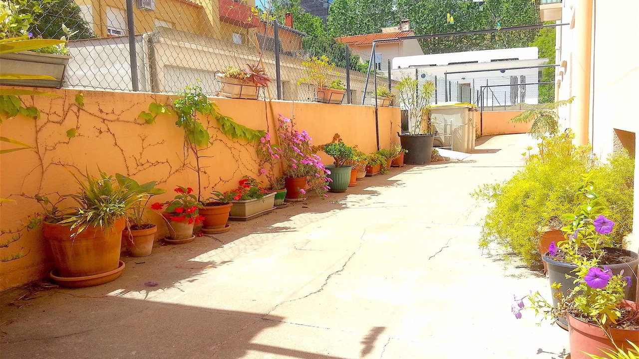Photo of Outdoor in Les Platanes
