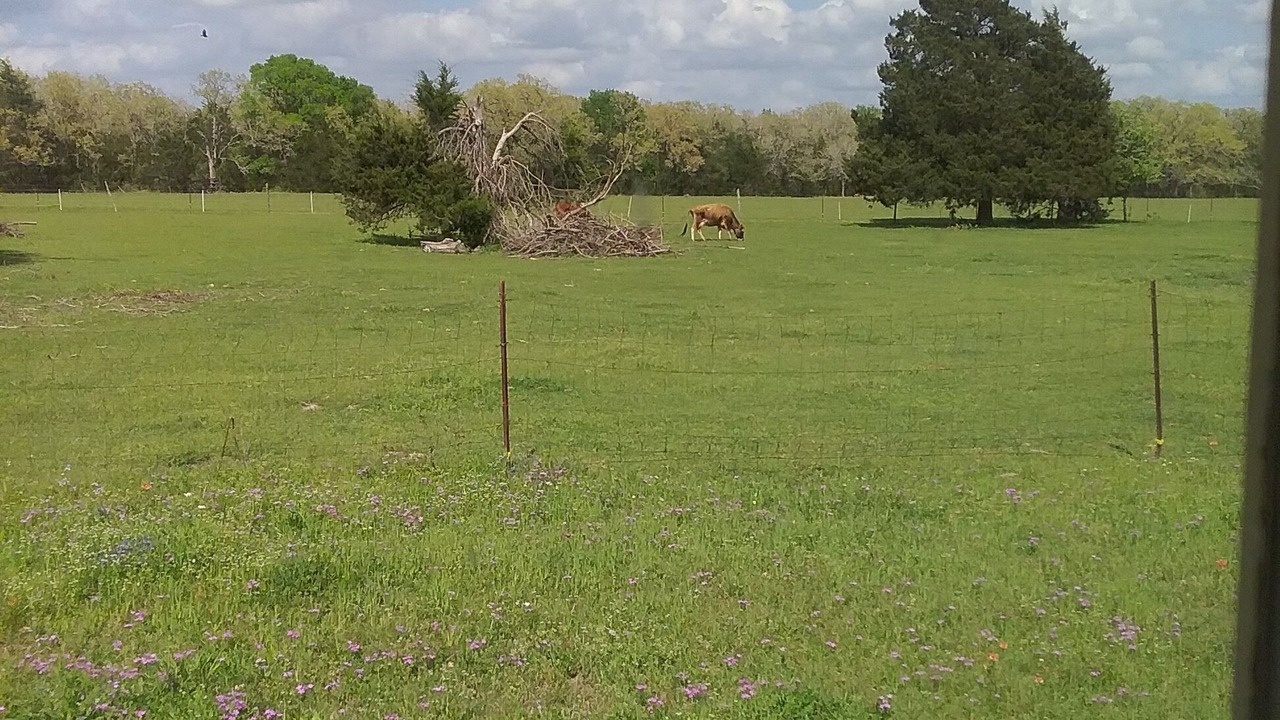 Photo of Others in Ledbetter