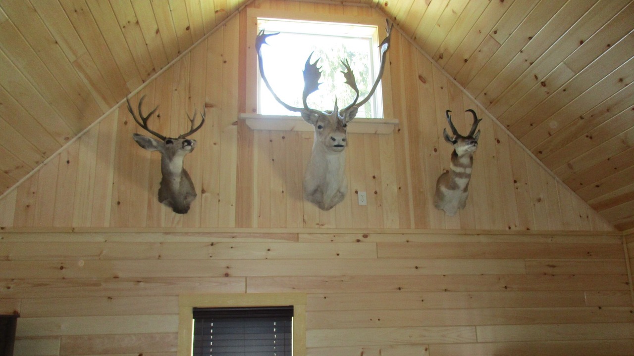 Photo of Bedroom in Branchport