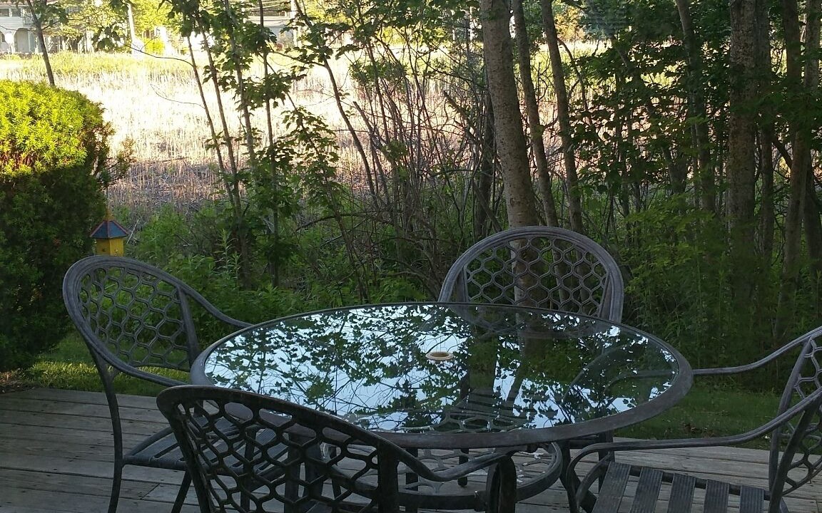 Photo of Others in Ocean Park