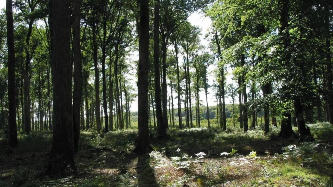 Photo of Outdoor in Le Gavre