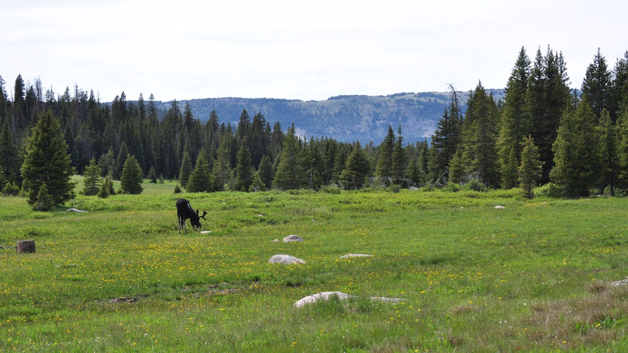 Photo of Others in Basin