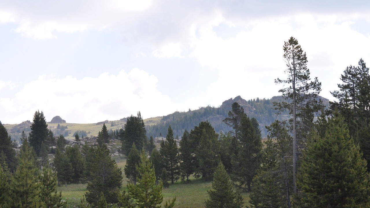 Photo of Others in Basin