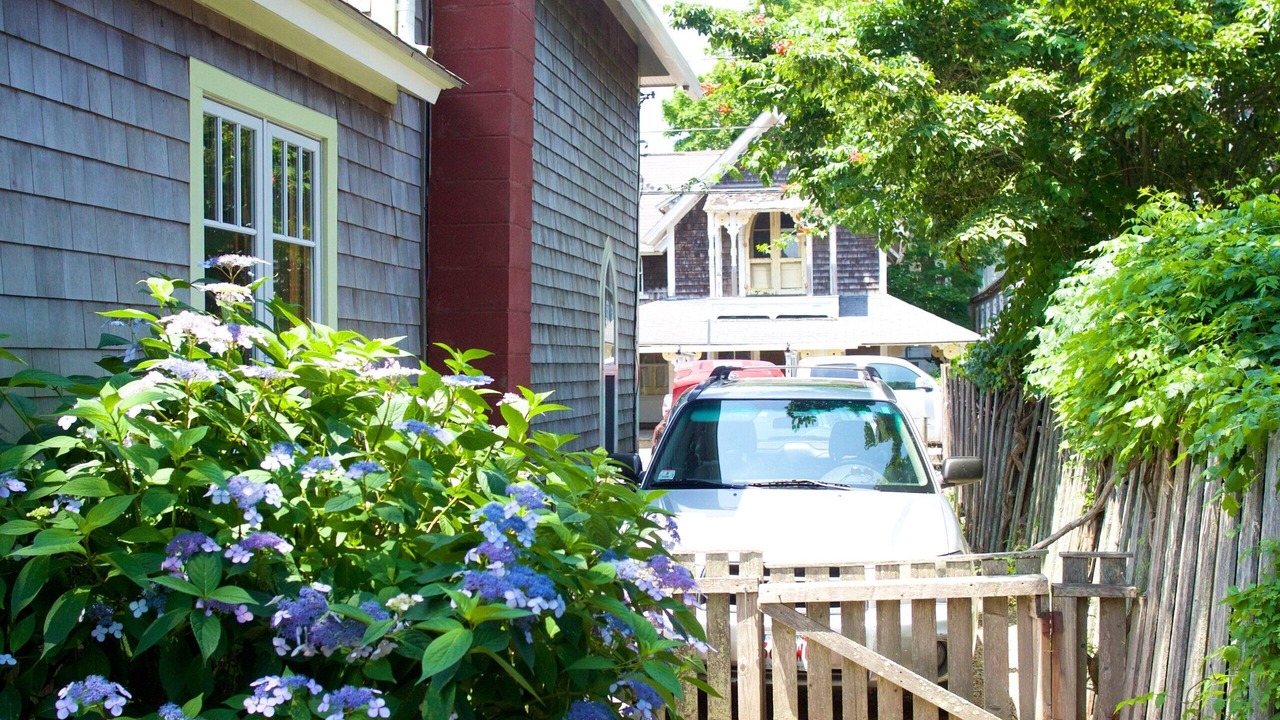 Photo of Others in Oak Bluffs