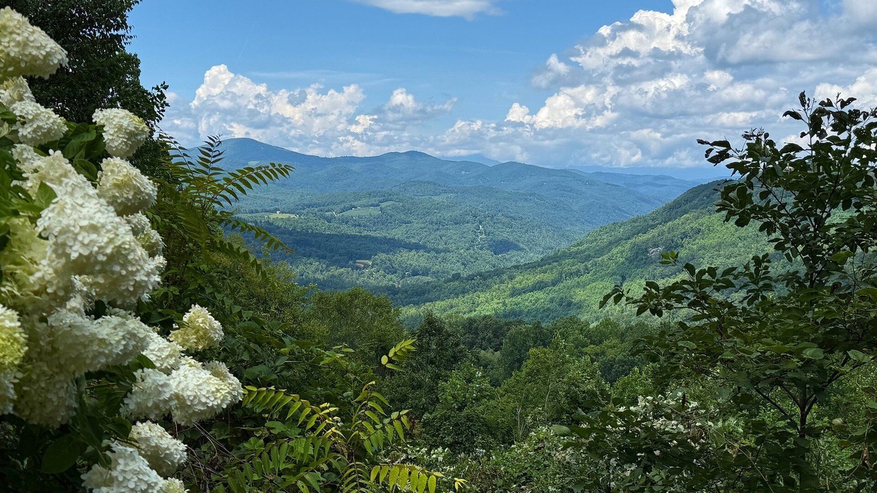 Photo of Others in Hendersonville