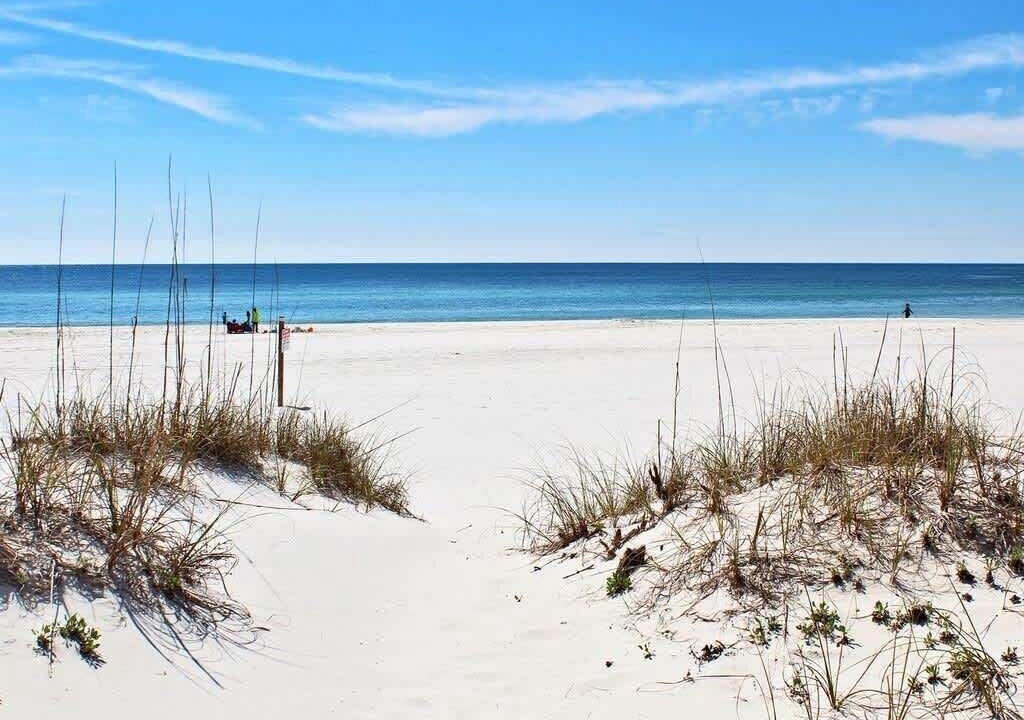 Photo of Others in Orange Beach