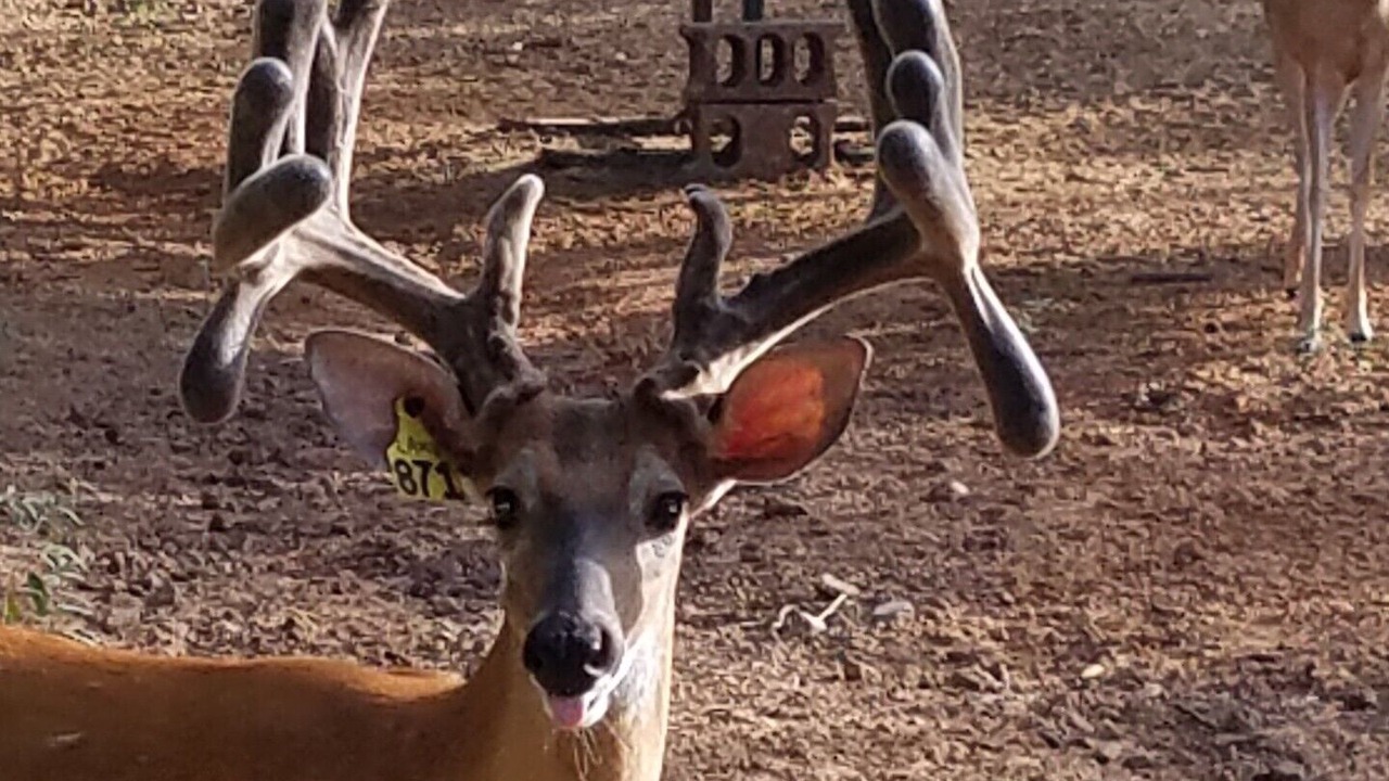 Photo of Outdoor in Sulphur Bluff