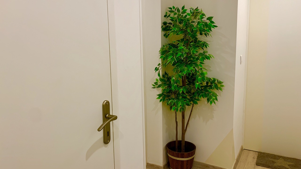 Photo of Others in Manosque