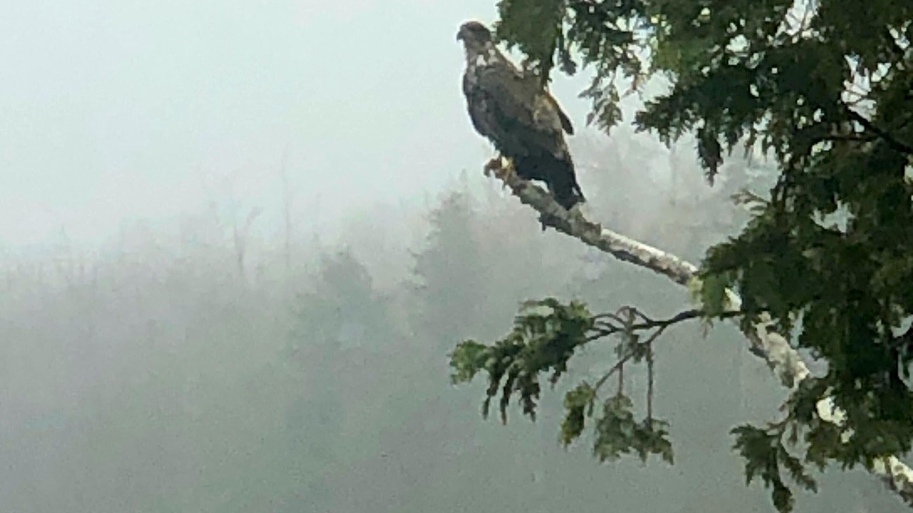Photo of Others in Franklin