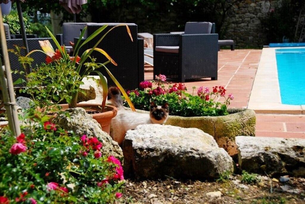 Photo of Outdoor in Vic-Fezensac