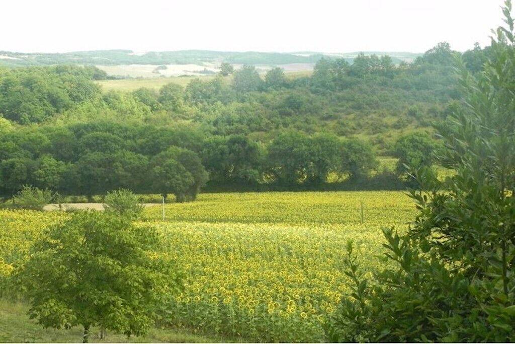 Photo of Outdoor in Vic-Fezensac