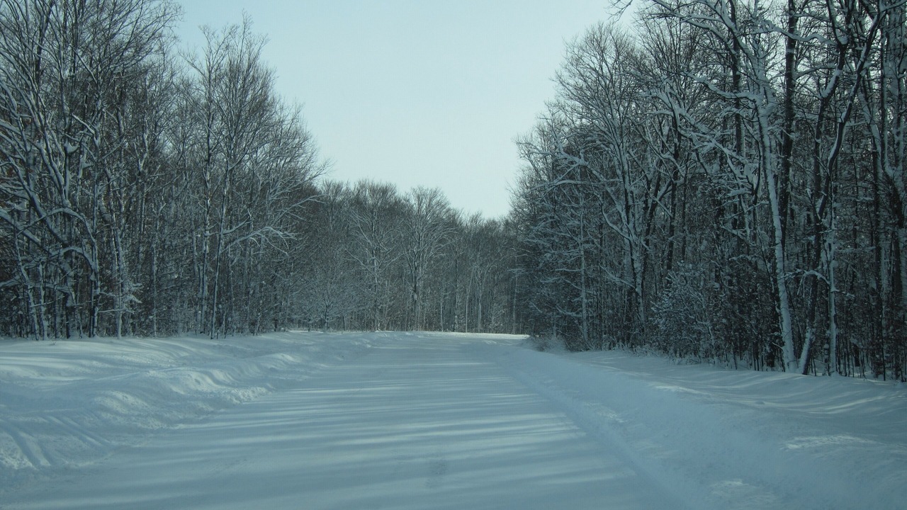Photo of Others in Boyne City