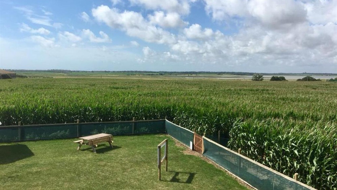 Photo of Others in Reydon