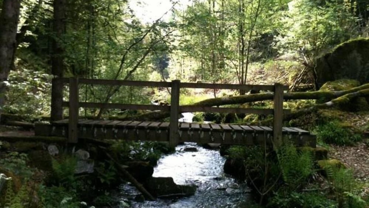 Photo of Outdoor in Saint-Nabord