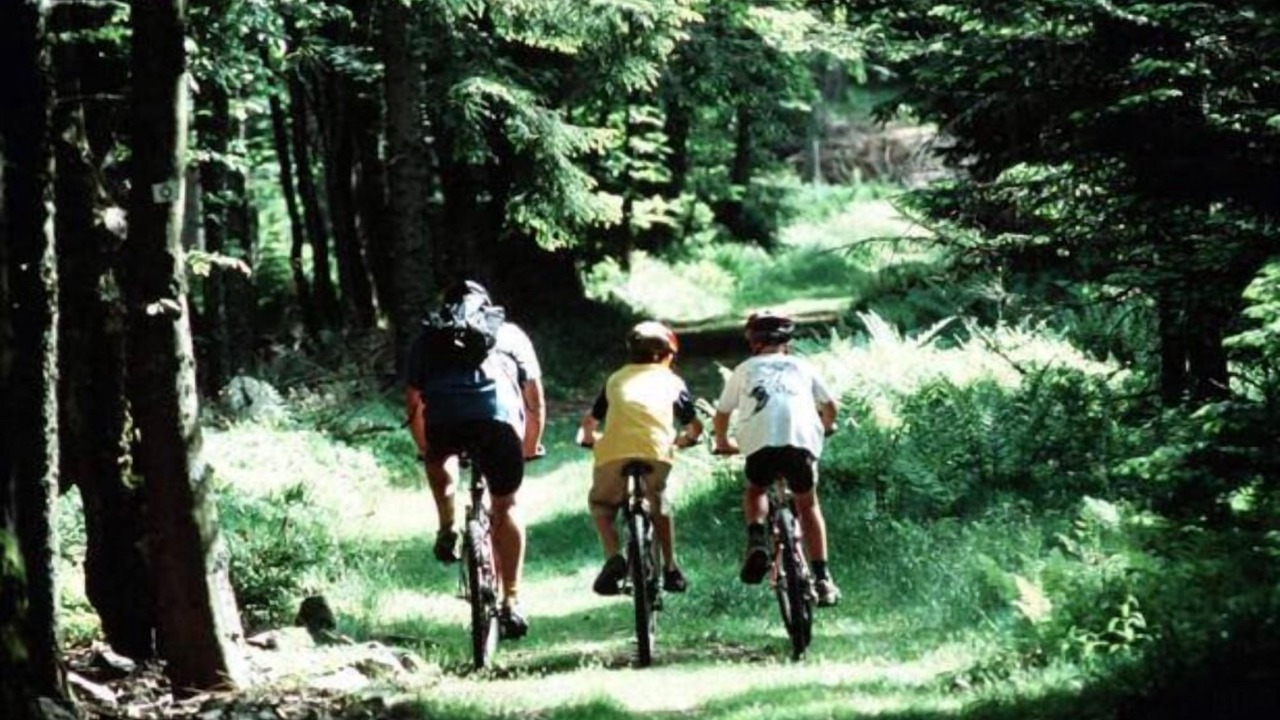 Photo of Others in Saint-Nabord