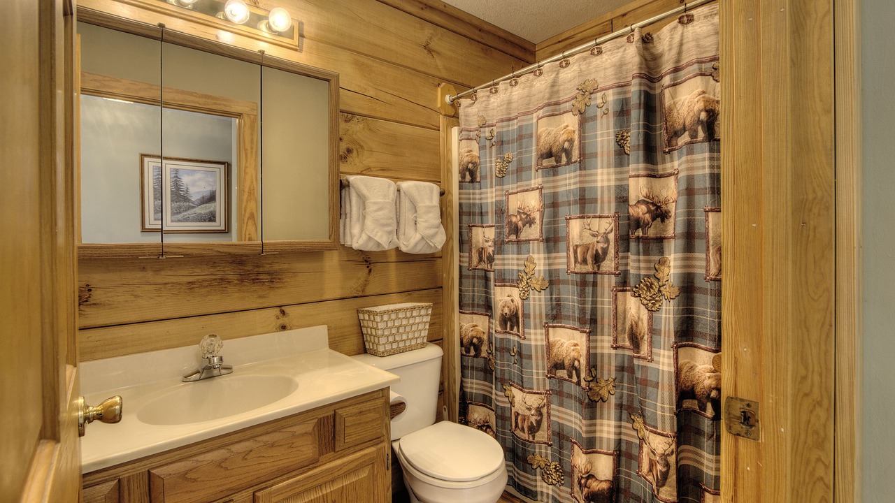 Photo of Bathroom in Pigeon Forge