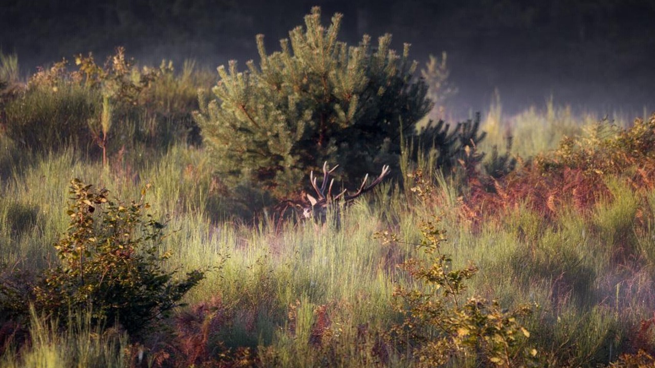Photo of Outdoor in Isle-et-Bardais