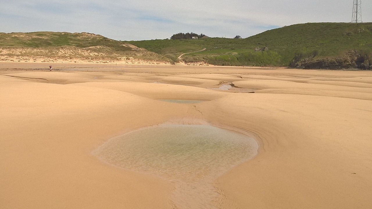 Photo of Others in La Haye