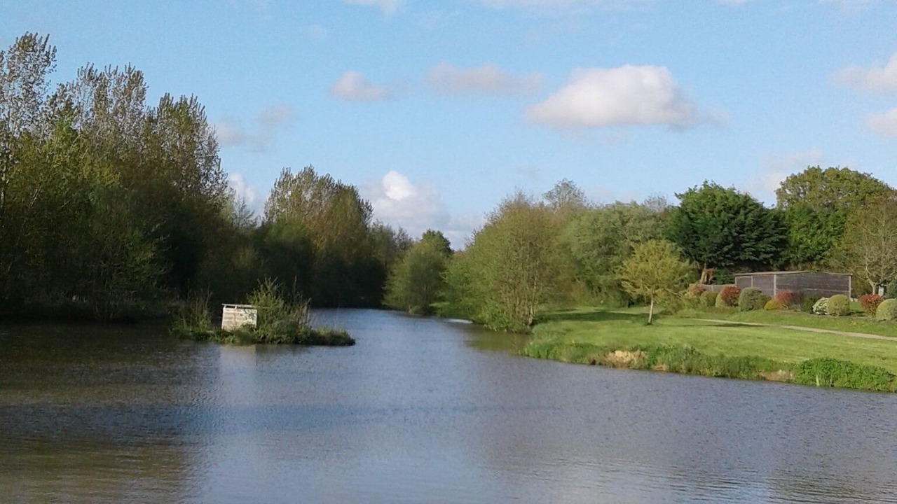 Photo of Others in La Haye