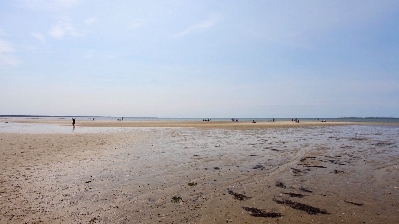 Photo of Others in Provincetown
