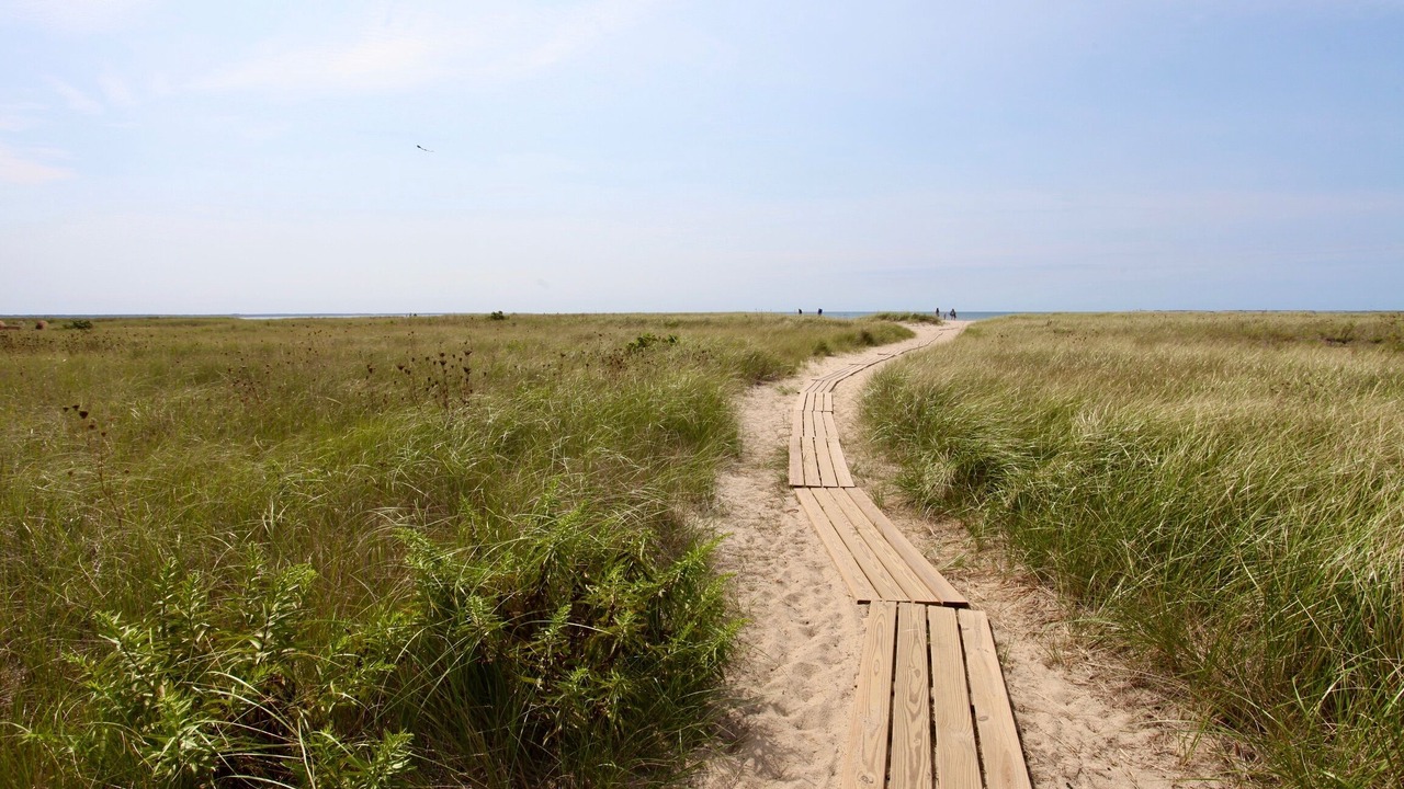 Photo of Others in Provincetown