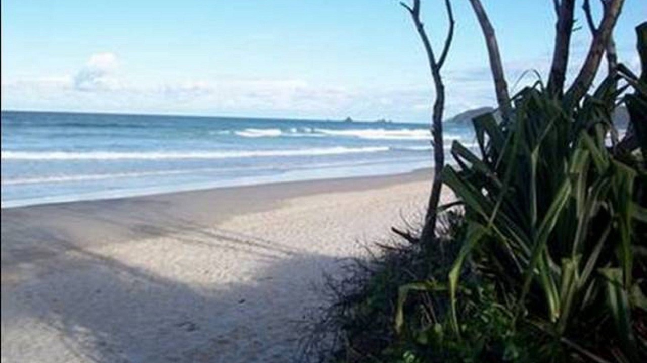 Photo of Others in Suffolk Park