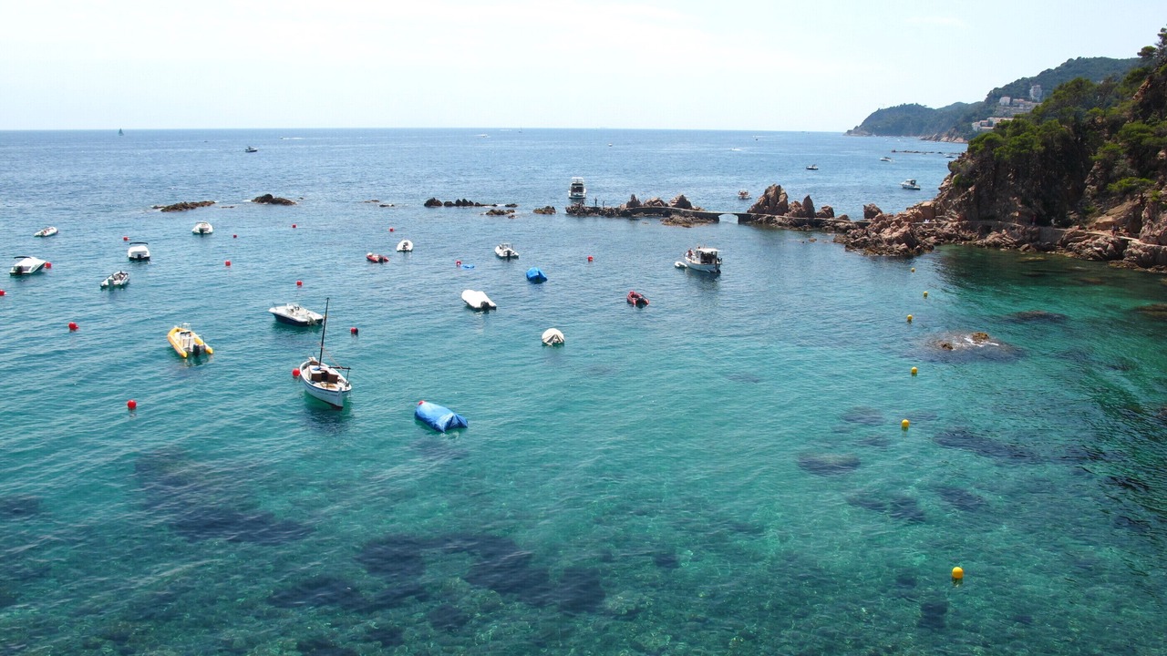 Photo of Others in Canyet de Mar