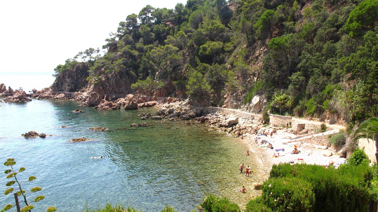 Photo of Others in Canyet de Mar